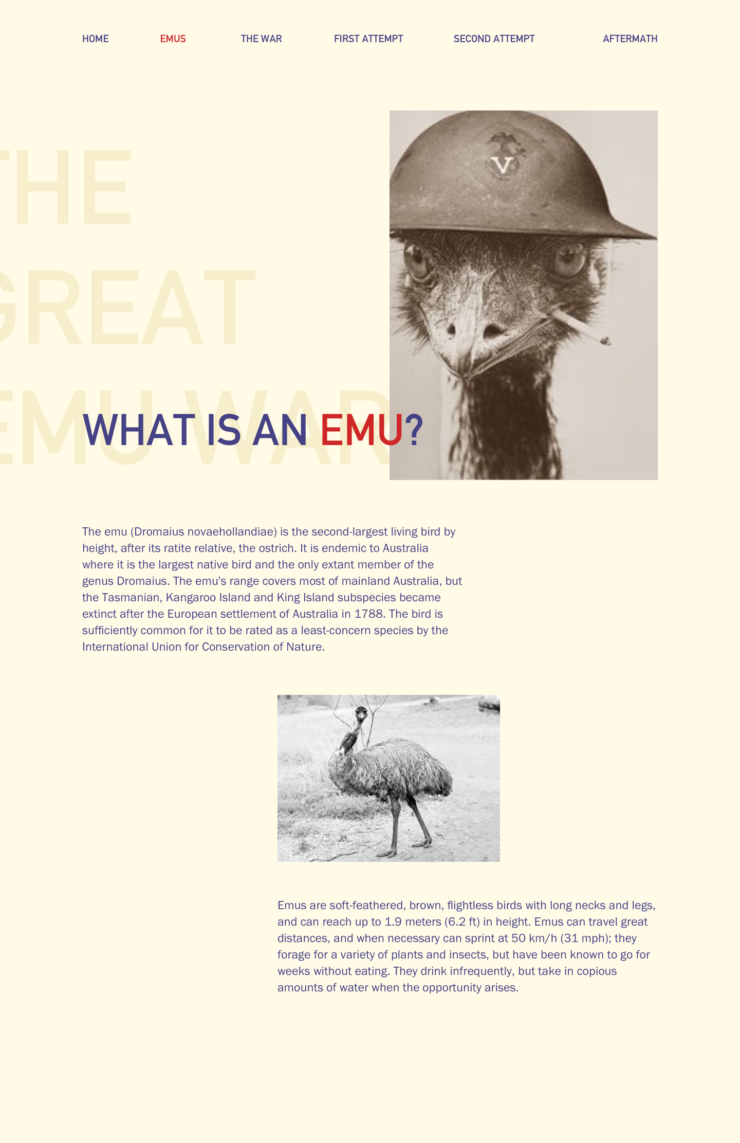 emu page